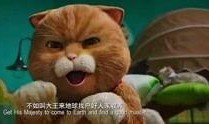 喵星人粤语在线观看,萌宠来袭，笑料横生！