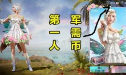 吃鸡军需币军需爆料最新